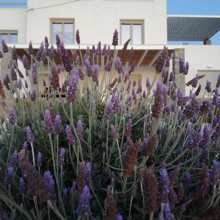 Nesaea Seafront House Villa Parászporosz Kültér fotó