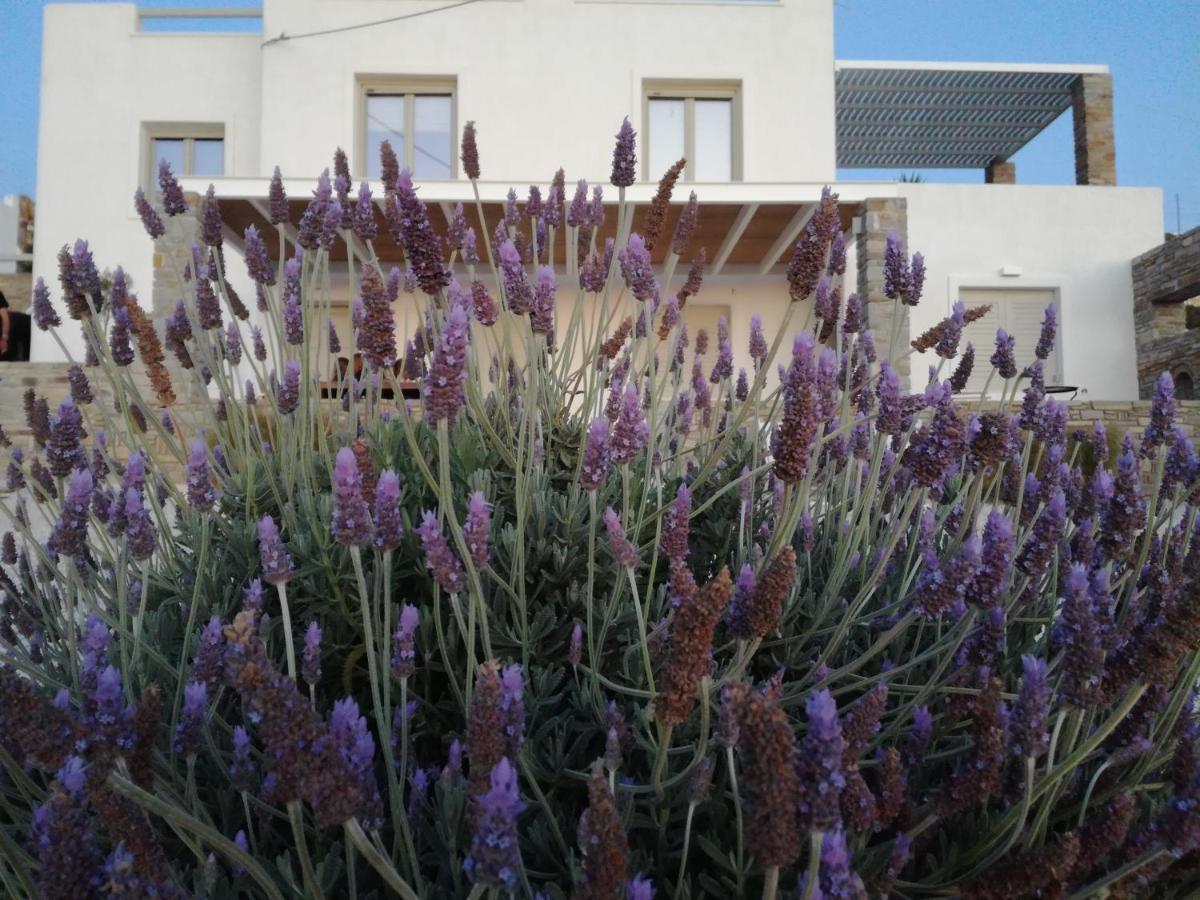 Nesaea Seafront House Villa Parászporosz Kültér fotó