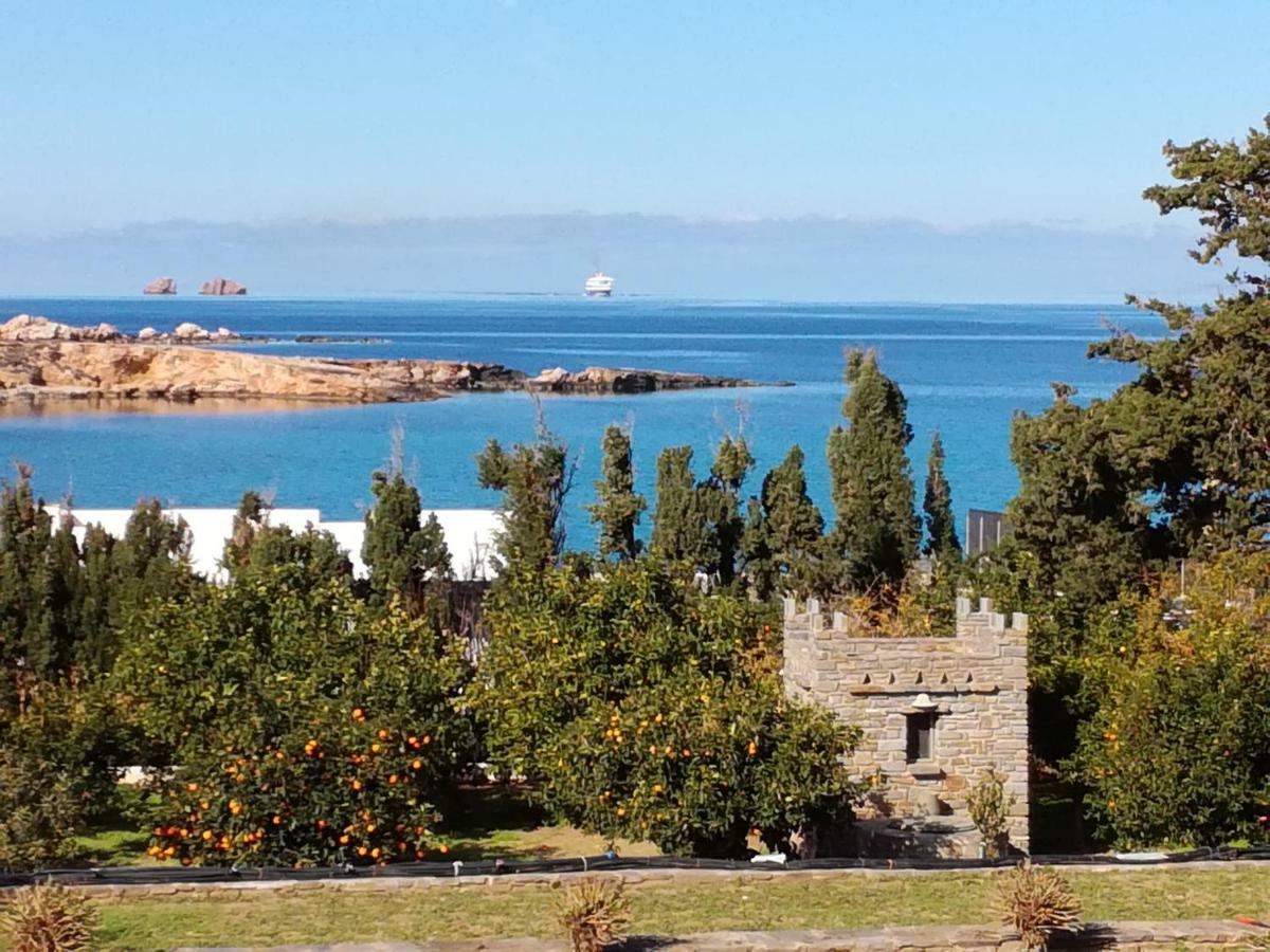 Nesaea Seafront House Villa Parászporosz Kültér fotó